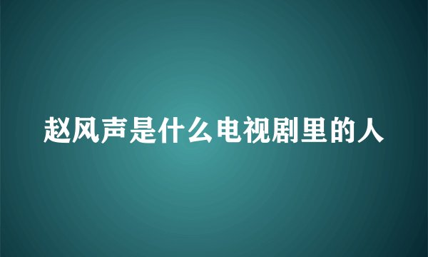 赵风声是什么电视剧里的人