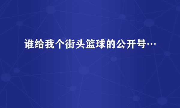 谁给我个街头篮球的公开号…