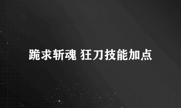 跪求斩魂 狂刀技能加点