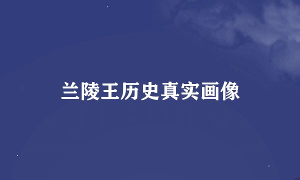 兰陵王历史真实画像