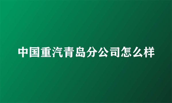 中国重汽青岛分公司怎么样
