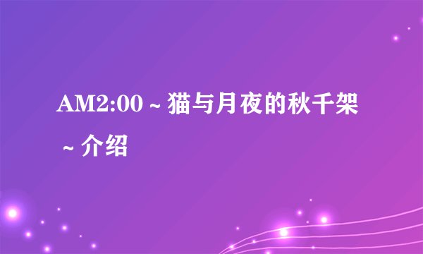 AM2:00~猫与月夜的秋千架~介绍