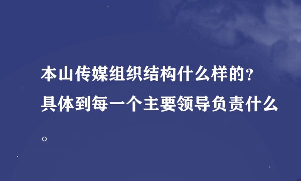本山传媒组织结构什么样的？具体到每一个主要领导负责什么。