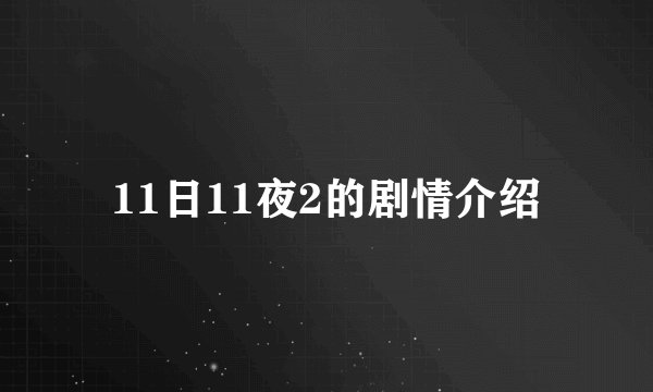 11日11夜2的剧情介绍
