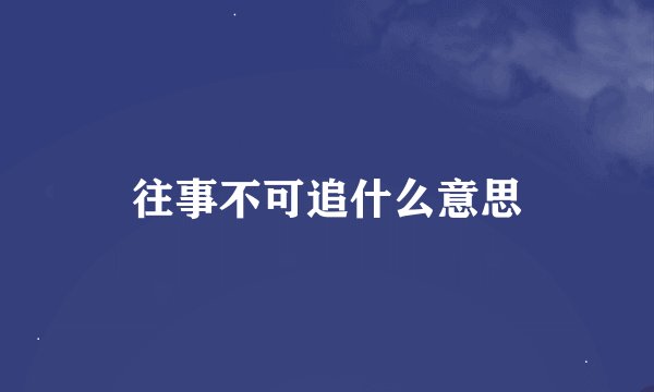往事不可追什么意思