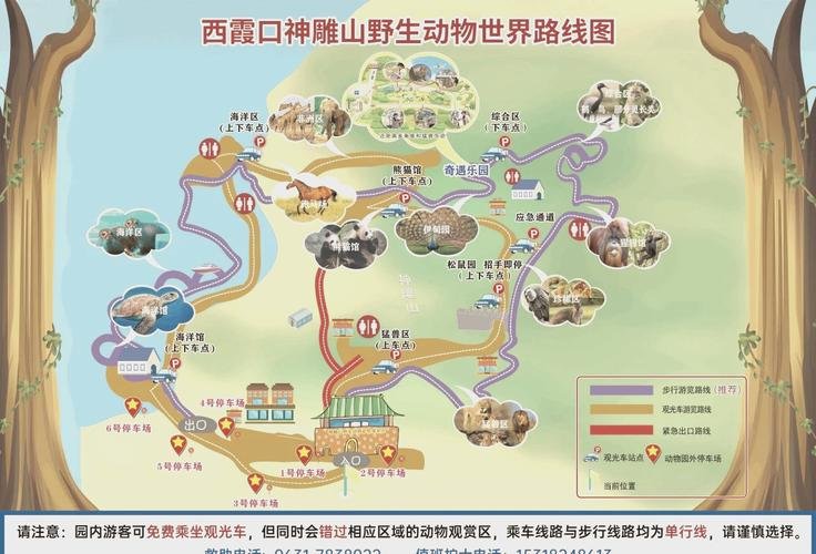 威海西霞口野生动物园门票免费吗