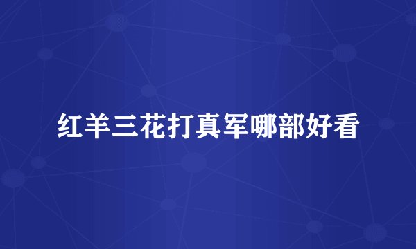 红羊三花打真军哪部好看