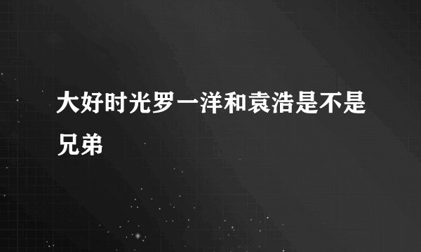 大好时光罗一洋和袁浩是不是兄弟