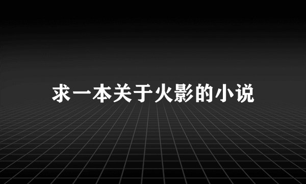 求一本关于火影的小说