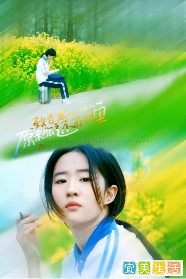 原来你还在这里