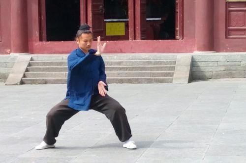 武德训的翻译