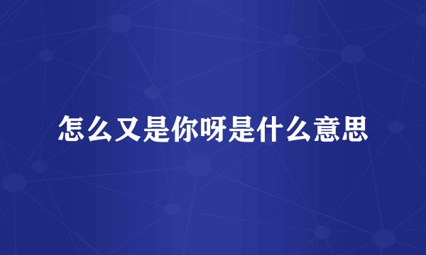 怎么又是你呀是什么意思