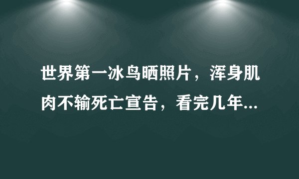 世界第一冰鸟晒照片，浑身肌肉不输死亡宣告，看完几年前照片直呼不可能