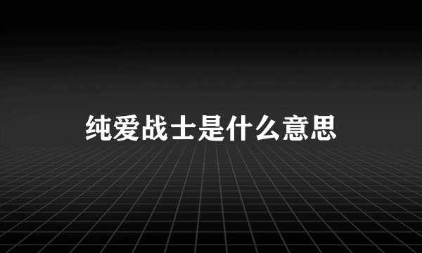 纯爱战士是什么意思