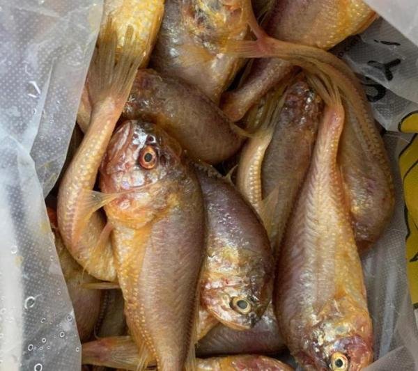 河北妈妈每天通勤1小时，只为给儿子送饭，网友：可怜天下父母心