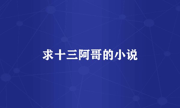 求十三阿哥的小说
