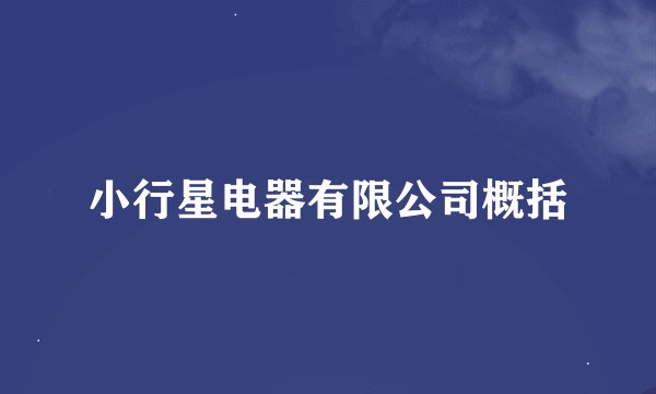 小行星电器有限公司概括