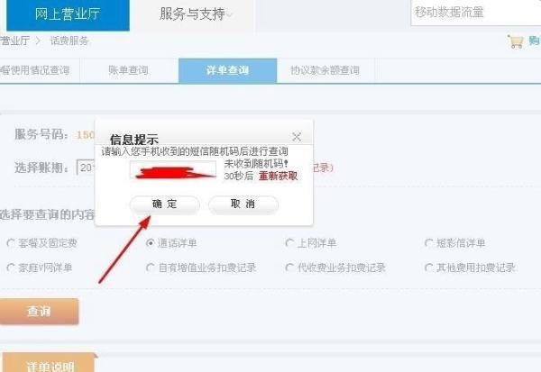 中国移动话费查询清单_中国移动话费详单查询