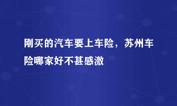 刚买的汽车要上车险，苏州车险哪家好不甚感激
