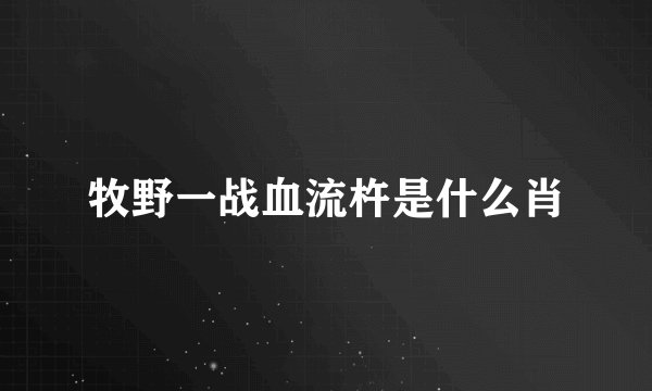 牧野一战血流杵是什么肖