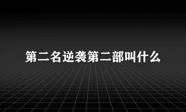 第二名逆袭第二部叫什么