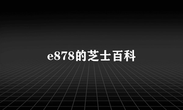 e878的芝士百科