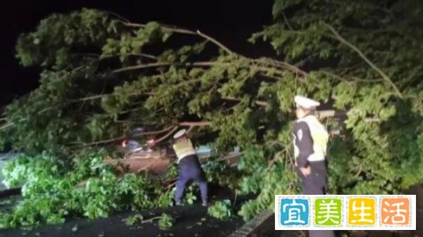 江苏南通昨日突遭极端灾害天气：11人遇难，102人受伤