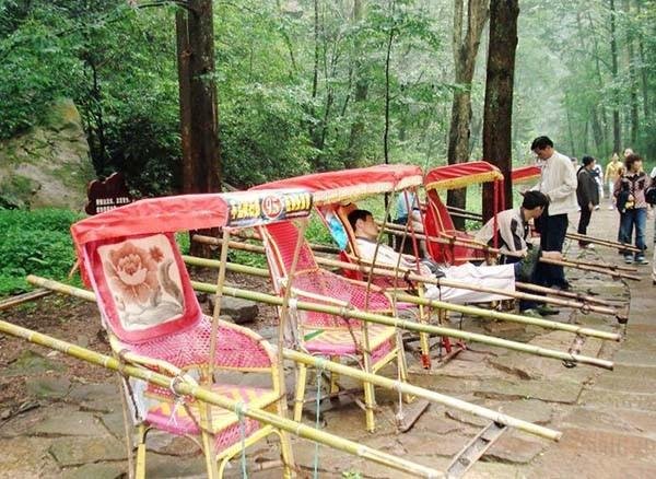 旅游景点轿夫抬哈士奇上山，网友争议“人不如狗”，景区对此是如何回应的？
