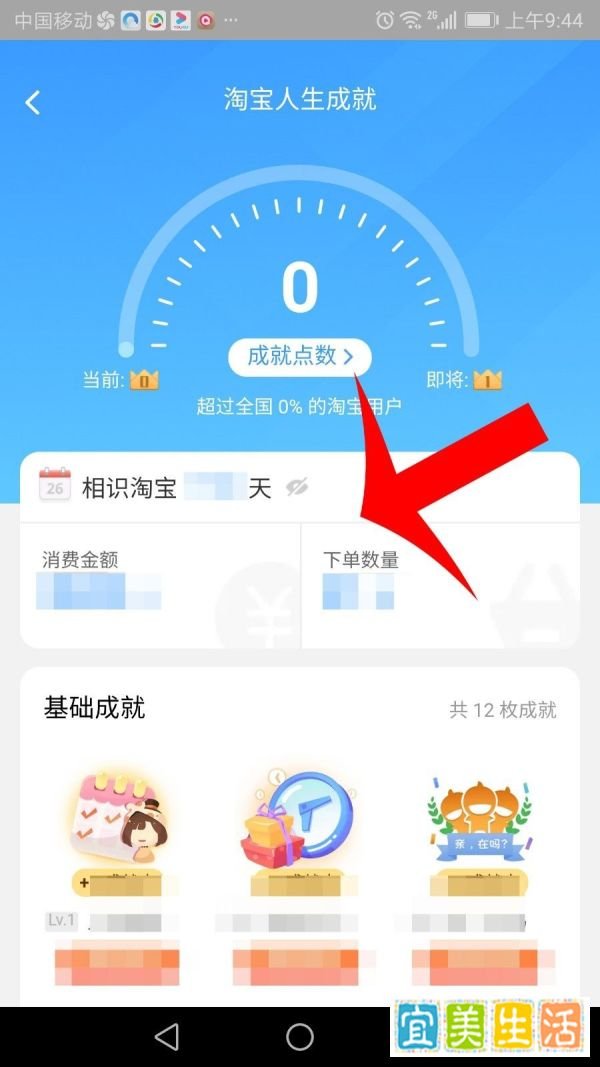 淘宝人生成就在哪