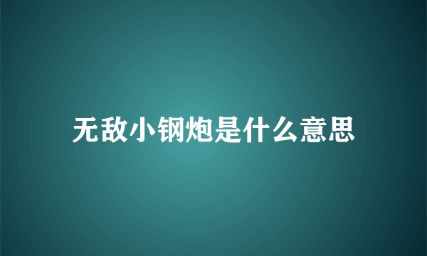 无敌小钢炮是什么意思