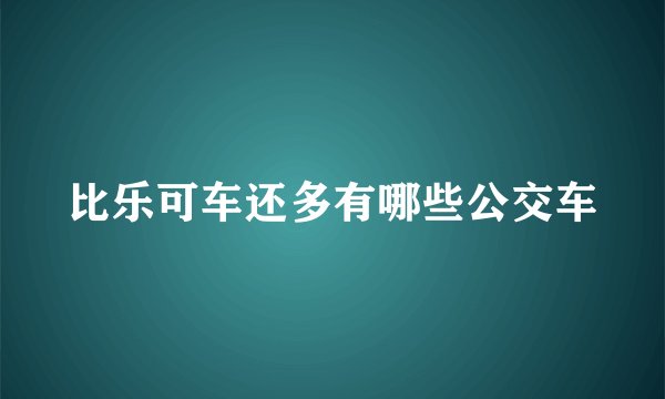 比乐可车还多有哪些公交车