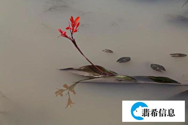 诗词丨百事从心起,一笑解千愁