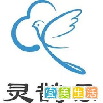 灵鹊云获SIG千万天使轮投资，推动行业发展升级