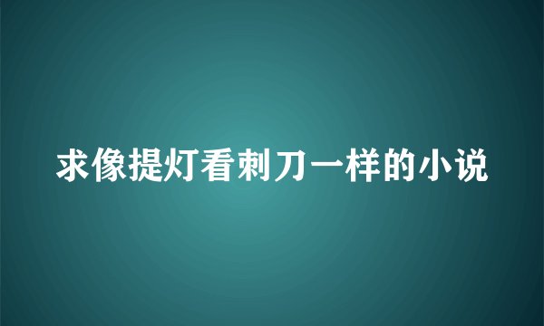 求像提灯看刺刀一样的小说