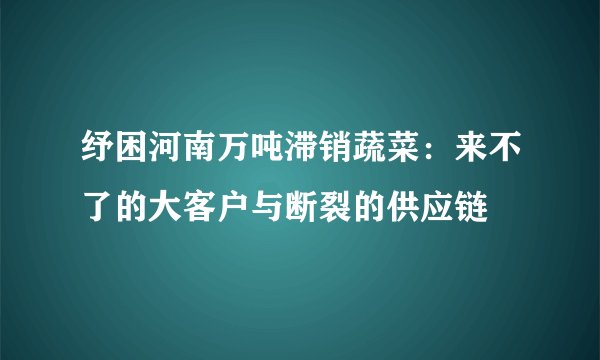 纾困河南万吨滞销蔬菜：来不了的大客户与断裂的供应链