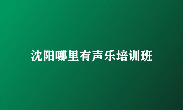 沈阳哪里有声乐培训班