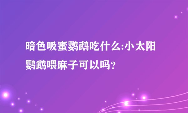 暗色吸蜜鹦鹉吃什么:小太阳鹦鹉喂麻子可以吗？
