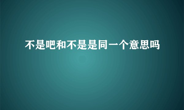 不是吧和不是是同一个意思吗