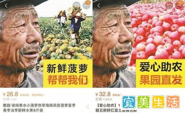 如何评价网售滞销水果套路 拿别人的怜悯去做欺骗的勾当