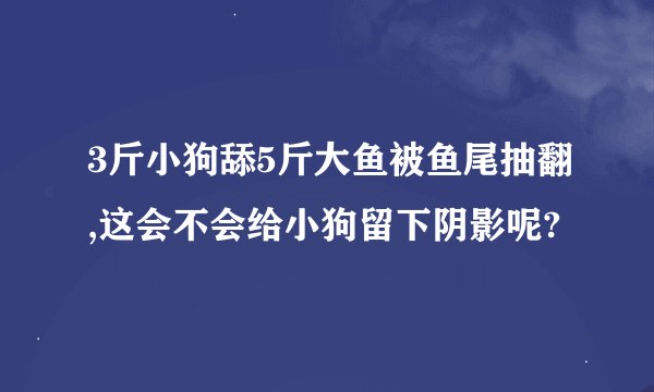 3斤小狗舔5斤大鱼被鱼尾抽翻,这会不会给小狗留下阴影呢?