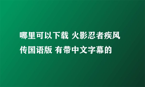 哪里可以下载 火影忍者疾风传国语版 有带中文字幕的