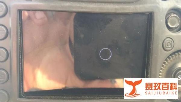 观测日环食是什么体验?——贪星派6.21厦门日环食观测全纪录