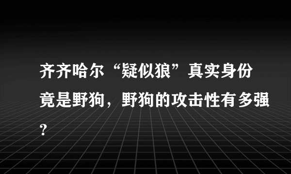 齐齐哈尔“疑似狼”真实身份竟是野狗，野狗的攻击性有多强？