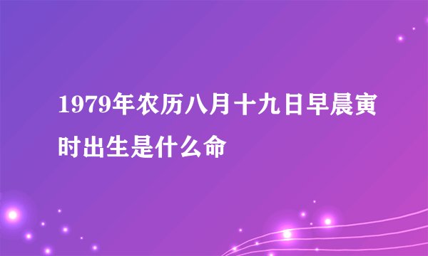 1979年农历八月十九日早晨寅时出生是什么命