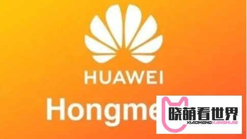 “纯血鸿蒙”全球总代理已现！签约仪式已完成，即将起飞！