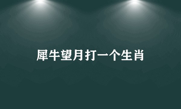 犀牛望月打一个生肖