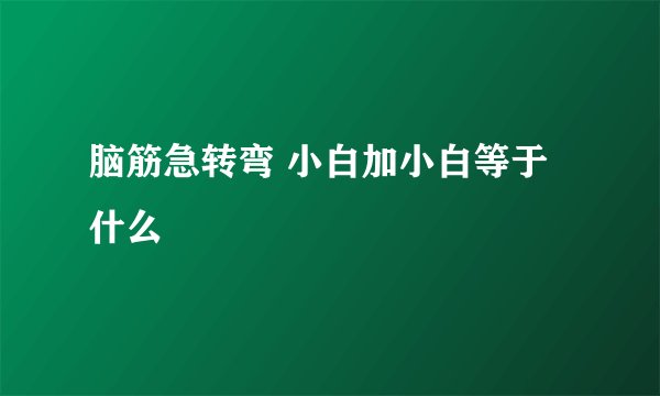 脑筋急转弯 小白加小白等于什么