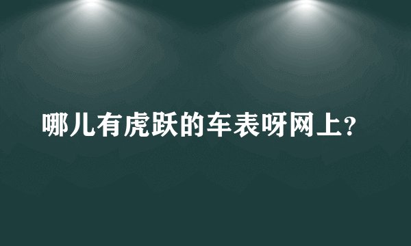 哪儿有虎跃的车表呀网上？
