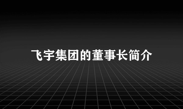 飞宇集团的董事长简介