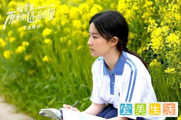 原来你还在这里